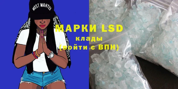 прущие грибы Невьянск