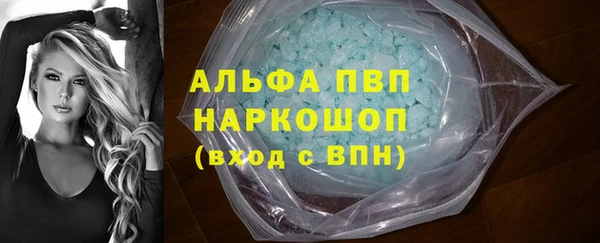 индика Николаевск-на-Амуре