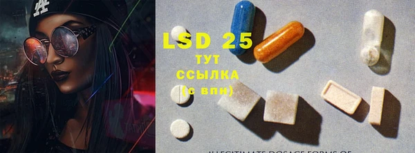 прущие грибы Невьянск
