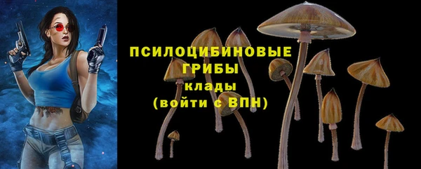 MESCALINE Богородицк