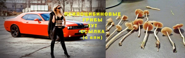 каннабис Никольск