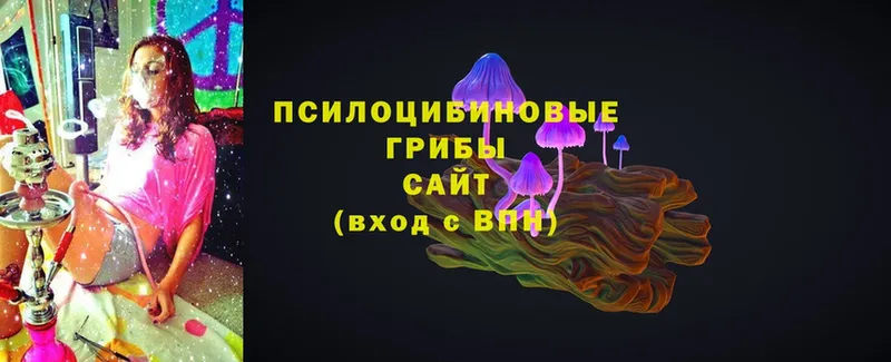 Галлюциногенные грибы Cubensis  Соликамск 