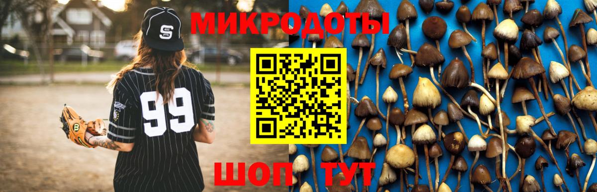 Галлюциногенные грибы прущие грибы Соликамск
